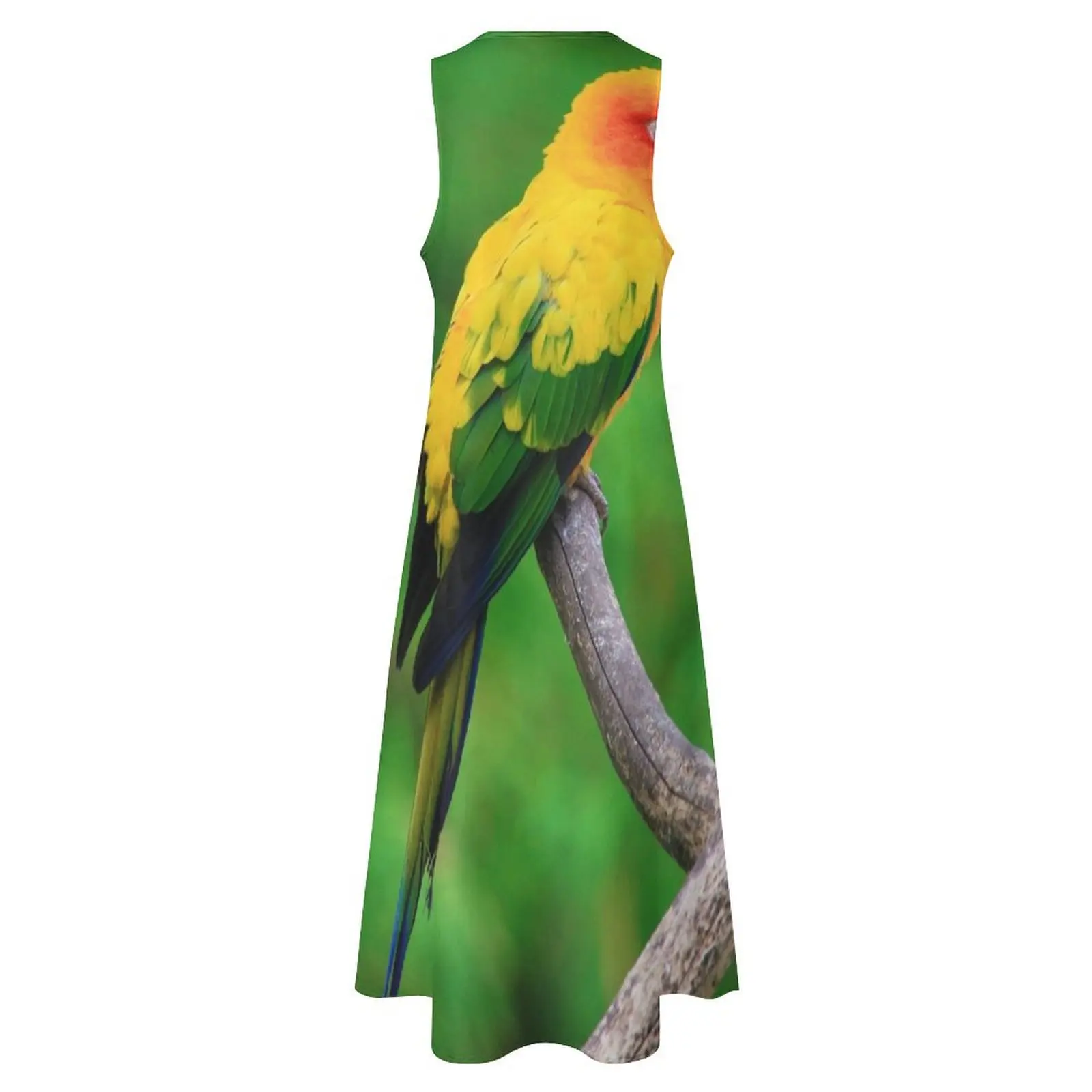Sun Conure الببغاء صور فستان طويل الصيف المرأة دعوى فساتين الحفلات فساتين النساء الصيف 2025 الملابس النسائية فستان