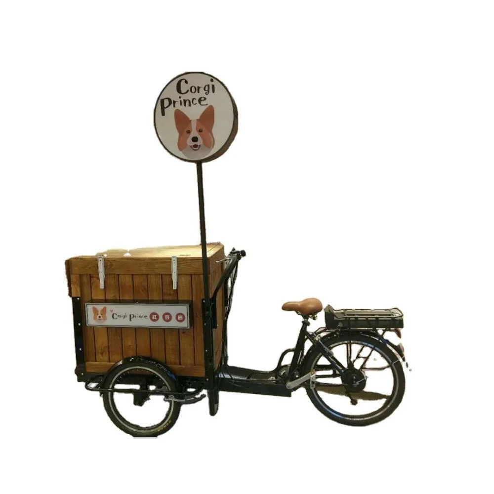 

Street Mobile Electric Ice Cream Bike Food Delivery Truck Box Bicycle Tricycle Customized
