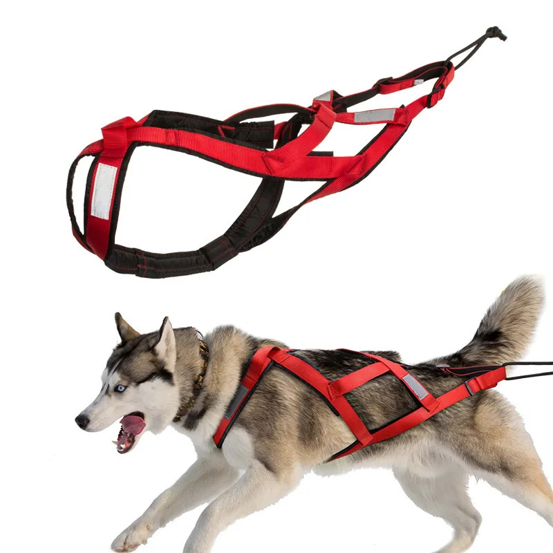 Alaskan Husky sled dog medium large dog vest chest harness leash dog pull car dog trailer leash