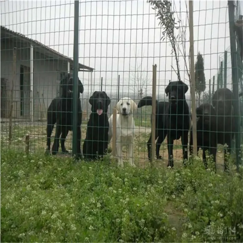 Poultry Breeding Chicken Rabbit Dog Protective Screens30M Metal Net Garden Fence Lawn Patio Balcony Wire Net Safety Barrier Net