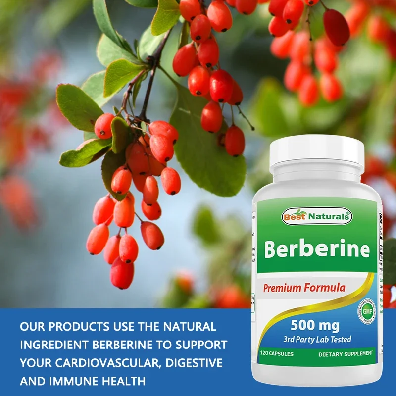 Best Naturals Berberine 500 mg 120 Capsules - Supports Immune, Cardiovascular and GI Function