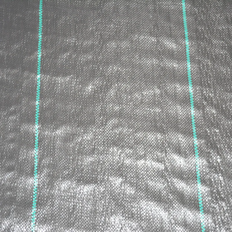 Agricoltura Anti UV pp Tessuto Geotextile Tappetino per il controllo delle erbacce Foglio di plastica in polietilene PE Doppio rivestimento Tela impermeabile