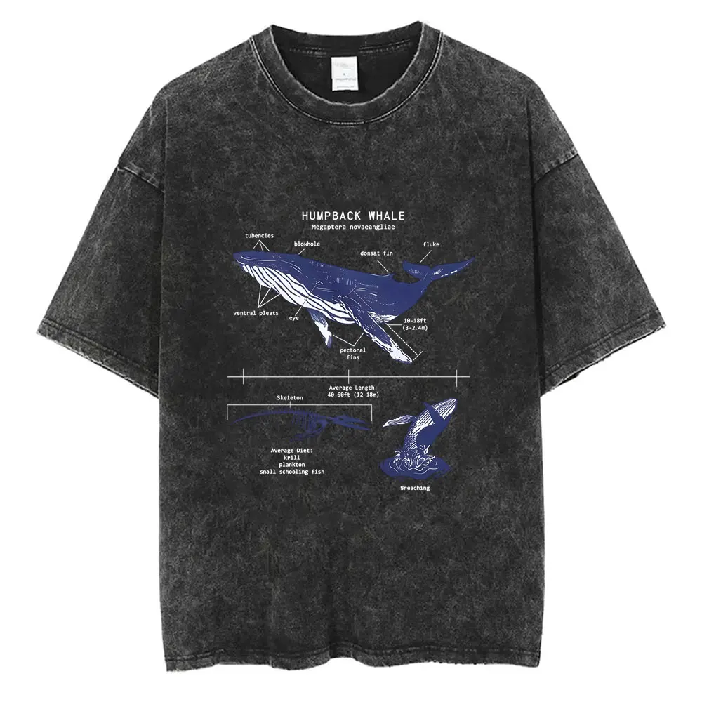 مضحك خلد الماء تشريح خمر غسلها تي شيرت الرجال النساء عادية المتضخم تي شيرت الذكور موضة الشارع الشهير Unsiex القطن التي شيرت #6