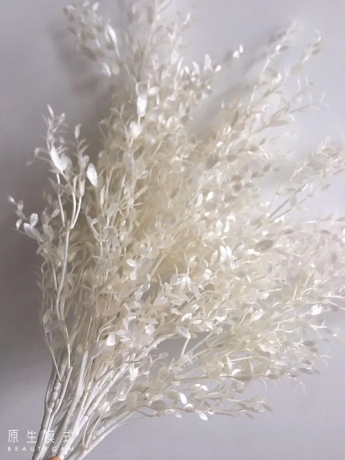 

long stem Bambusa milan leaf fake leaf artificial decoration bamboo white wedding decor platic flower Plantas Flowers Sunflower