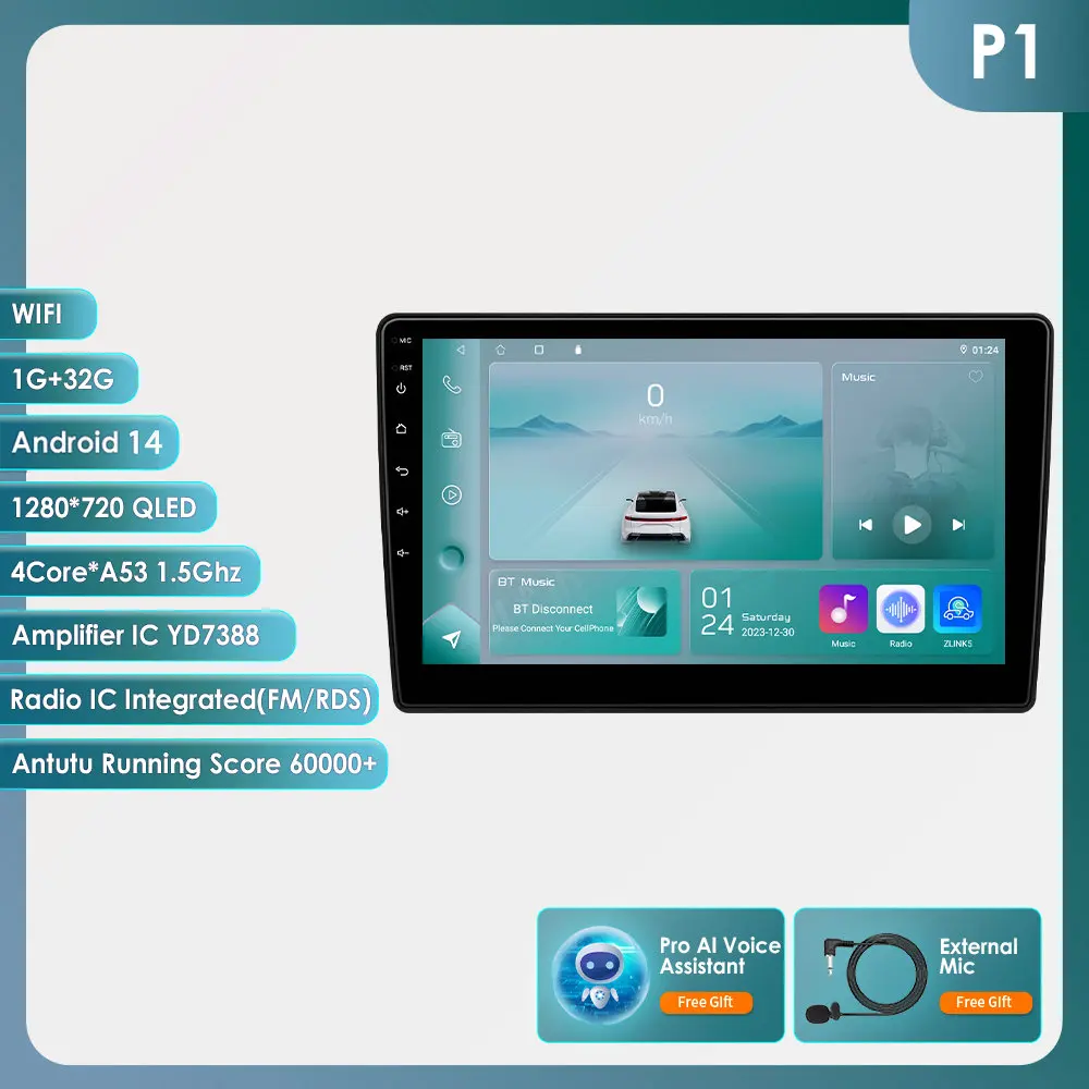 Variant: P1 (4Core 1G 32G)AI