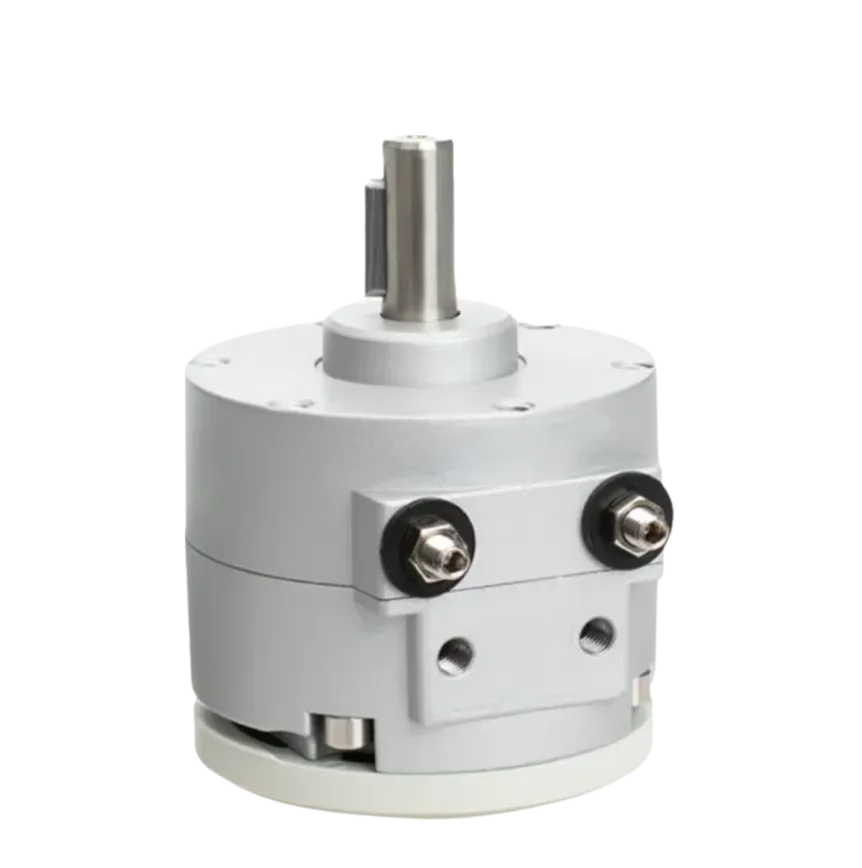 Vane Type Rotary Swing Cylinder CDRBS10/15/20/30/40-90° 180° Magnetic Rotary Cylinder