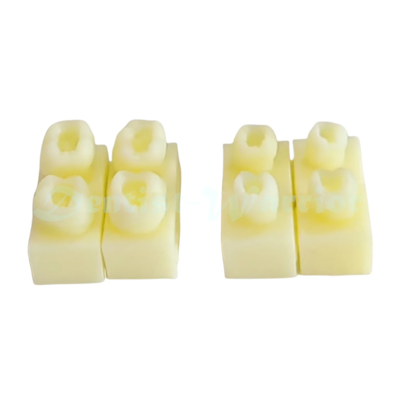 1 set Dental Flow Composite Resin Filling Model Practise