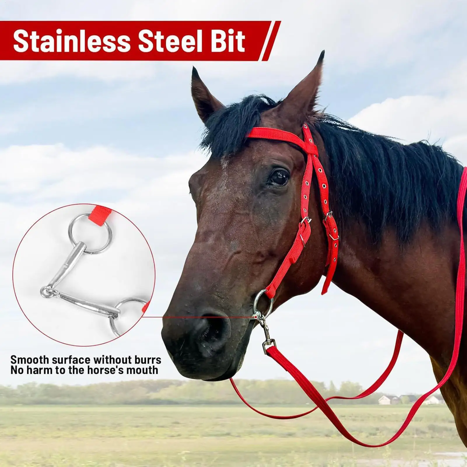 horse-bridle-adjustable-snaffle-noseband-nylon-equine-noseband-reins-for-women-men-soft-lined-trail-riding-equestrian-supplies