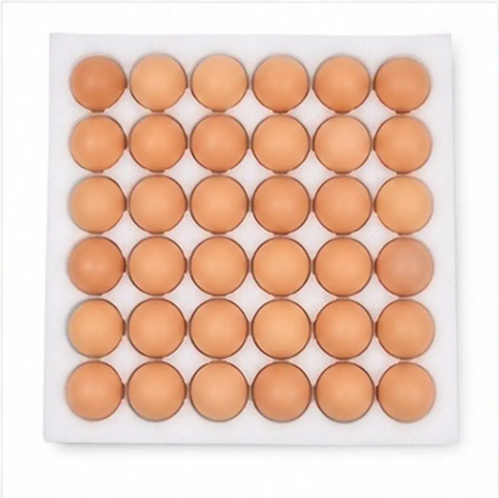 White Thickened Pearl Cotton Shockproof Egg Tray 30 Count Egg Container for Safe Transport and Refrigerator Storage