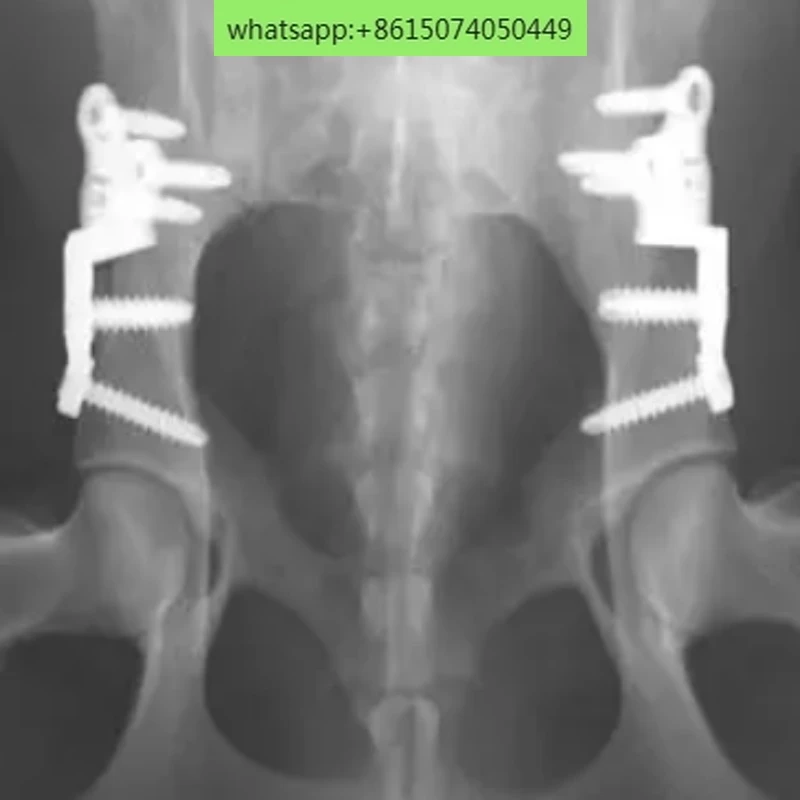 DPO Bone Plate, Steel Plate Double Pelvic Osteotomy and Osteotomy Titanium Alloy Pet Surgical Instrument for Veterinary Use
