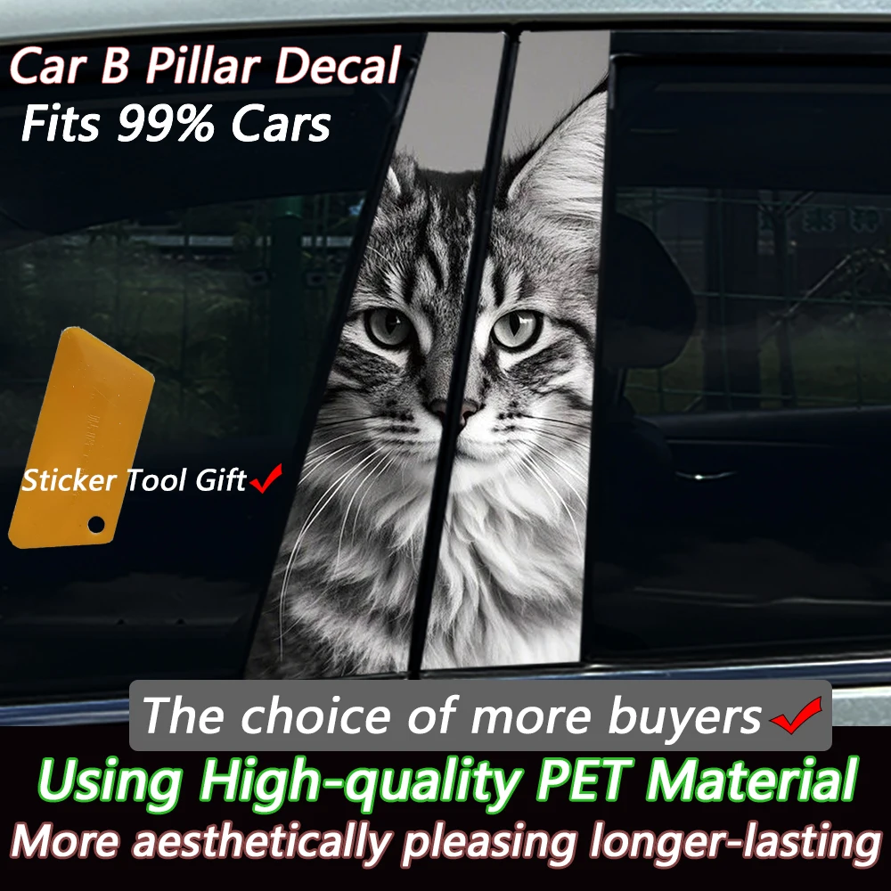 2PCS 3D Peeking Maine Coon Cat Car B Pillar Sticker, Upgrade PET Material, Waterproof Customizable Auto Decal Universal Fit