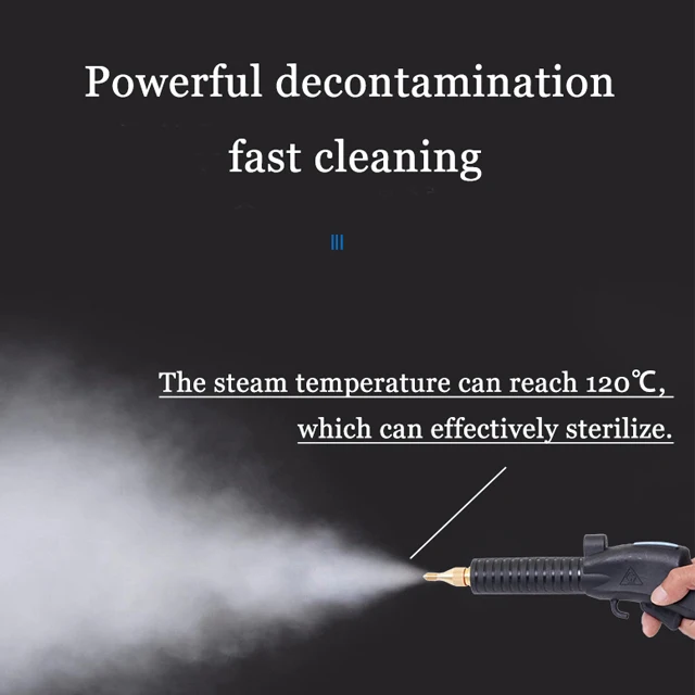 Multi-purpose 30S Fast Heating Max 5bar Pressure High Temperature Steamer Portable Steam Cleaner For Kitchen And Car
