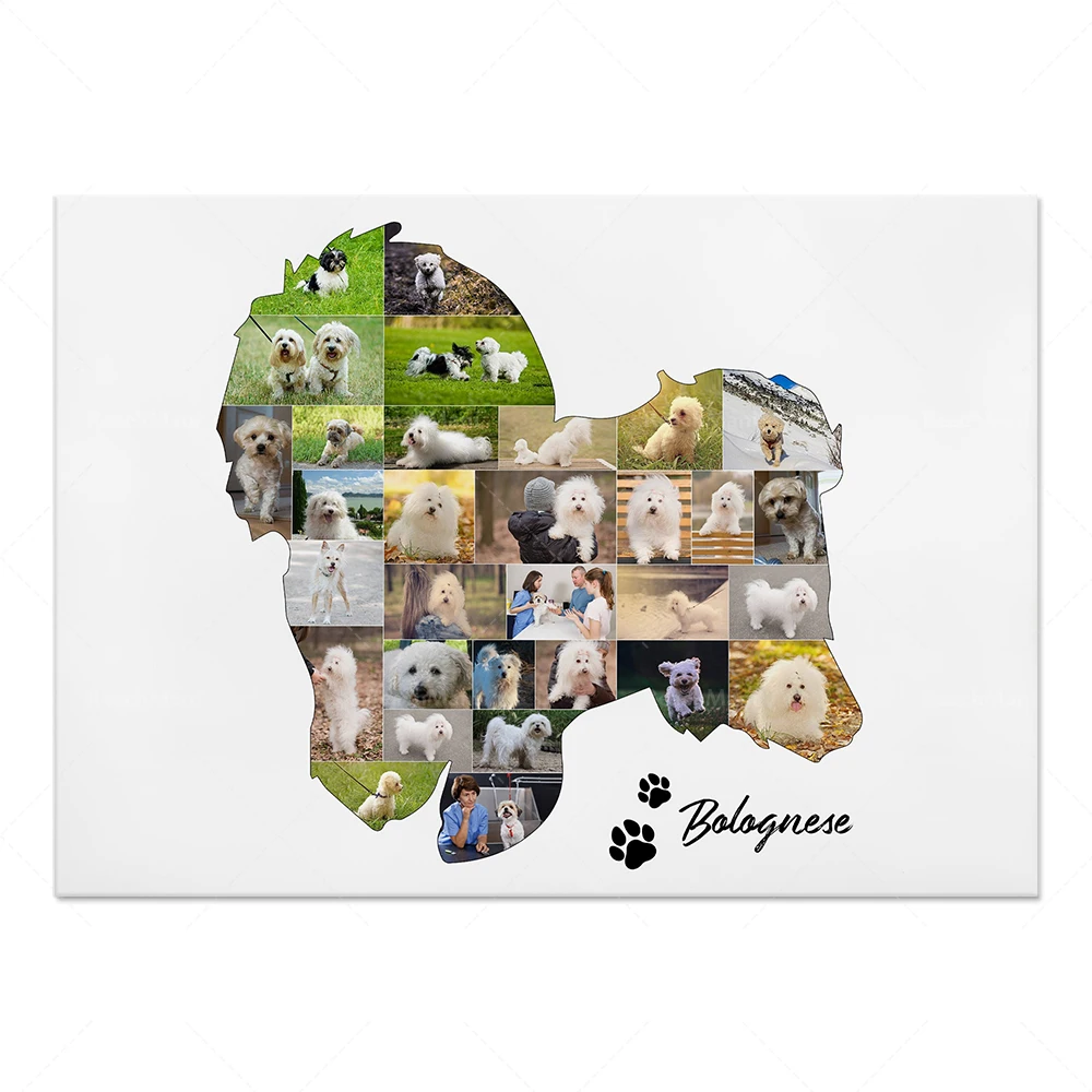 Póster de animales: Cane Corso, Chihuahua, Mastiff, Basset Hound, Pastor de Anatolia, Perro Afgano, Boston Terrier, Boxer