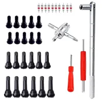 46pcs Car Quick Tire Valve Replacement Tool Kit For Cars,ATVs,Trucks Leaky Valve Includes 1 Valve Stem Remover Tool, 10 TR412