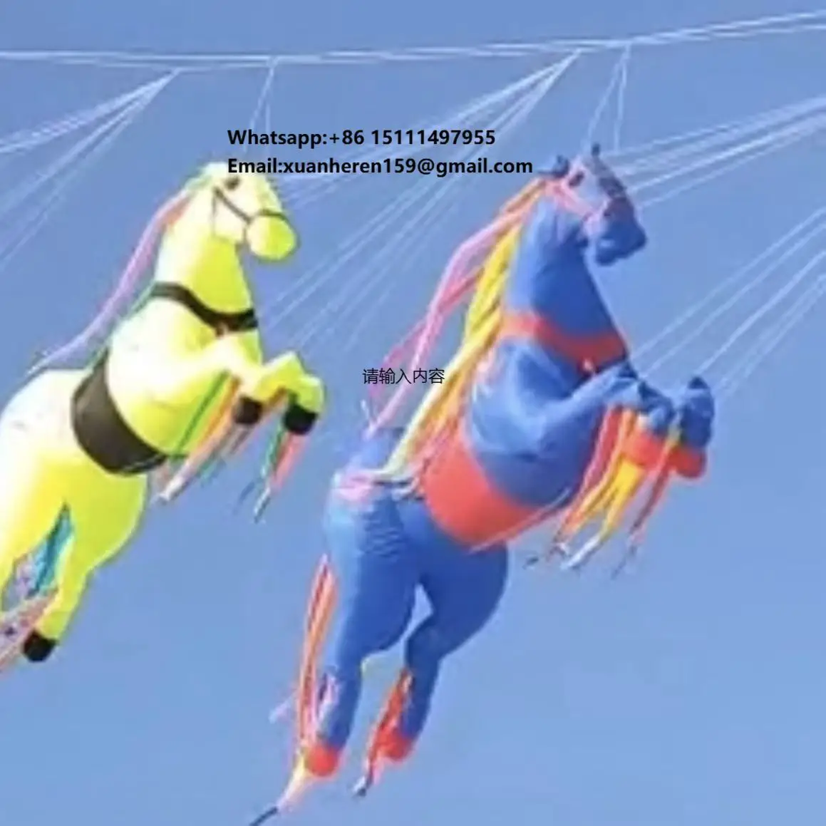 Wholesale 5m  Chinese Flying 3D Nylon Inflatable  Horse  Parafoil Soft Beach Kite for Sale