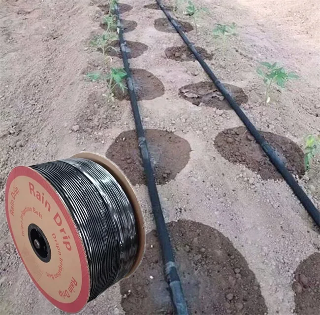 

2024 Hot Sale 1 Hectare Design Agricultural Farm Irrigation System Drip Tape