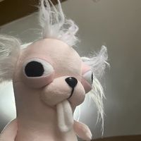 Stuffed Animals Chihuahua Plush Toy Puppy Pet Keychain Pendant Stuffed Chihuahua Doll Realistic Kawaii Plush Chihuahua Kids Toy