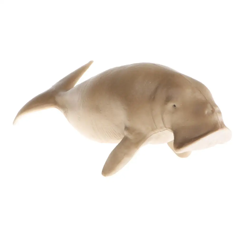 Realistic 5.6 '' Manatee Action Figure, Plastic Ocean Dugong  Model