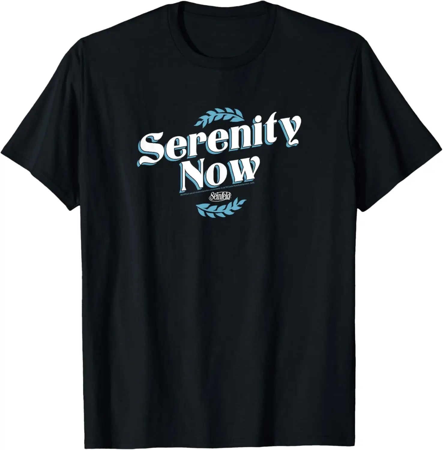 

Футболка Seinfeld Serenity Now Episode