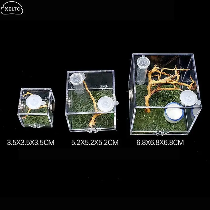 Acrílico Aranha Réptil Terrário, Insect Breeding Box, Insect Box, Cricket, Caracol, Tarântula Acessórios, S, M, L