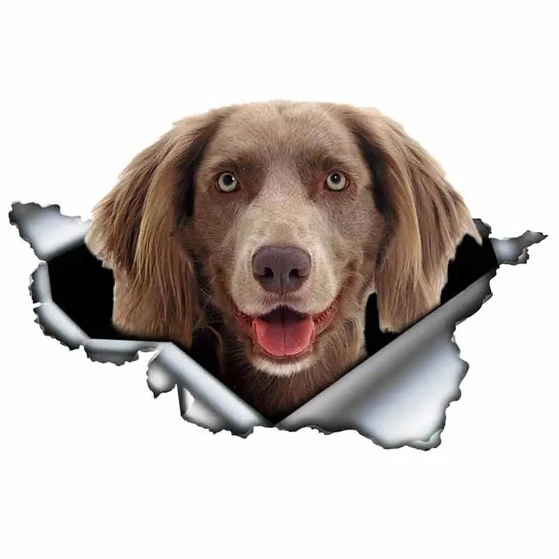 Pegatina gris Weimaraner para coche, calcomanía de Metal rasgada, pegatinas reflectantes, resistente al agua, estilo 3D, calcomanía para perro mascota, 13cm x 8,6 cm, PVC KK