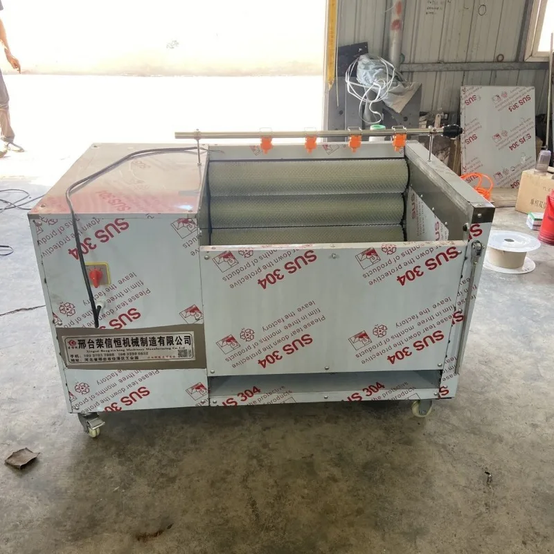 Commercial pig head pig trotter cleaning machine, oyster horseshoe water chestnut cleaning machine