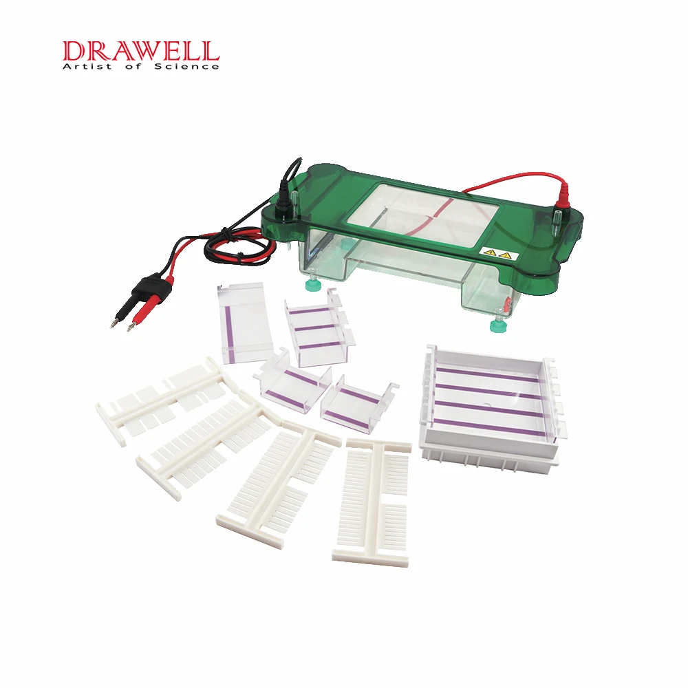 Laboratory Gel Electrophoresis Equipment Vertical Horizontal Electrophoresis Cell Gel System