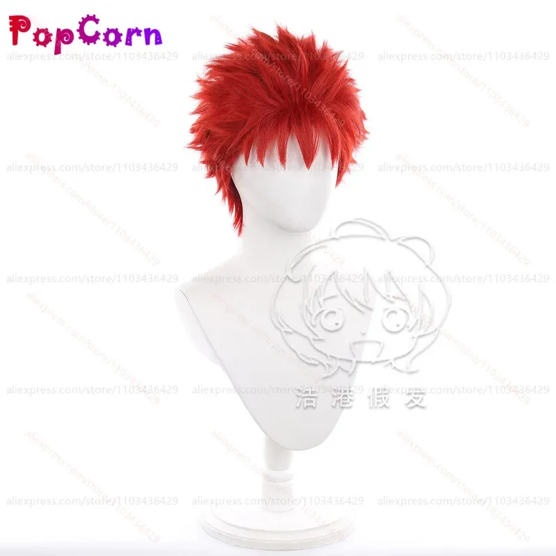 aa124LQEmiya Shirou 25 سنتيمتر شعر مستعار أحمر قصير أنيمي تأثيري مقاومة للحرارة بيروكات صناعية لحفلة الهالوين اليومية زي Ev