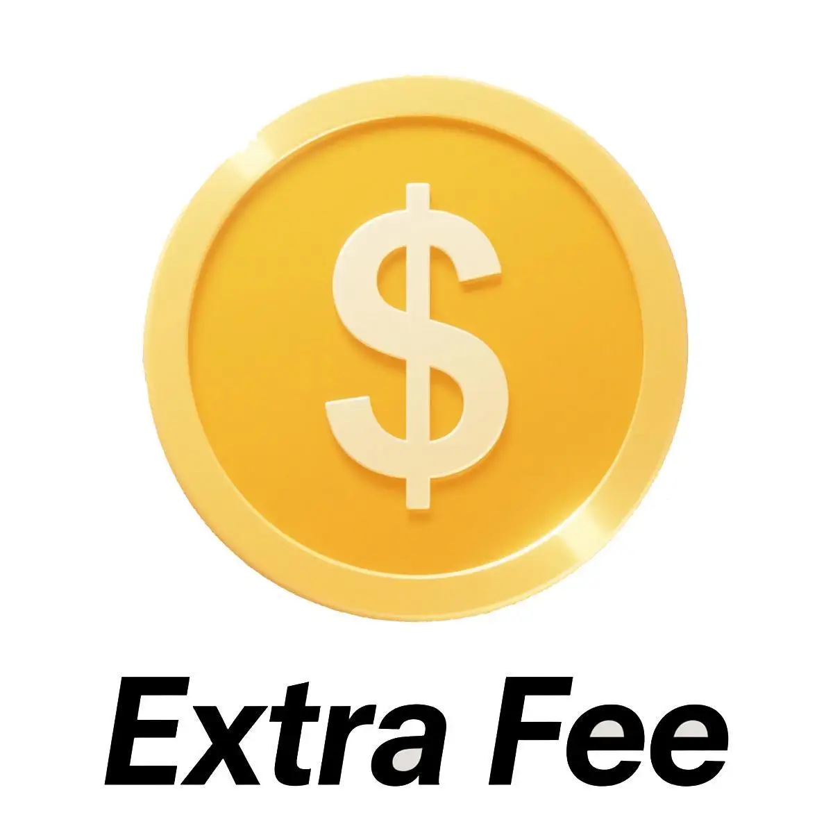 

Extra Shipping Fee pay