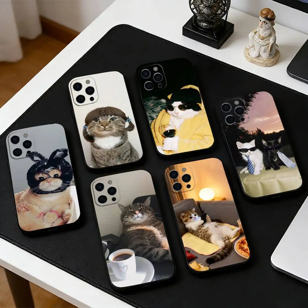 

Funny C-Cute Cat Phone Case For iPhone 17, 16,15,14,13,12,11 Plus,Pro Max, Others Soft Black Cover
