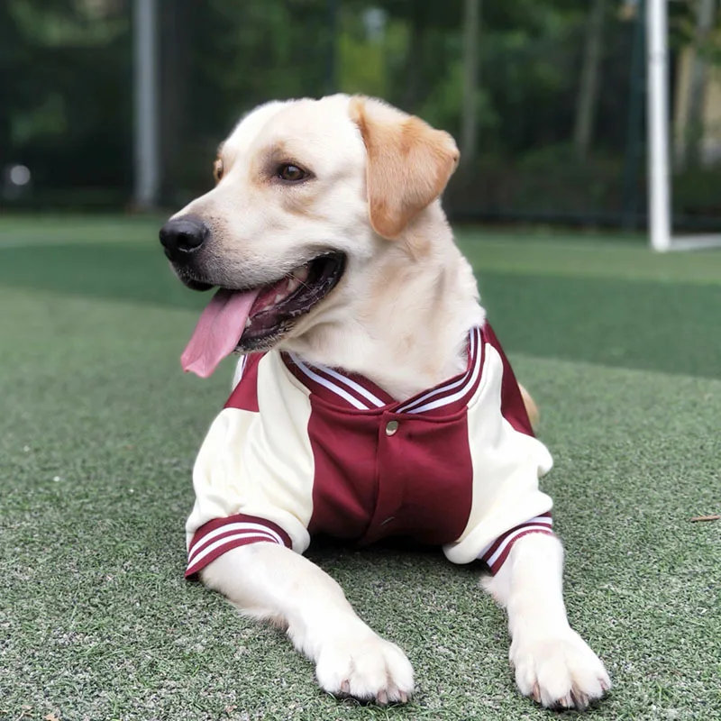 Pet Baseball Uniform for Small Large Dogs Winter Jacket Puppy Clothes French Bulldog Chihuahua Apprael Labrador Outfits Costume