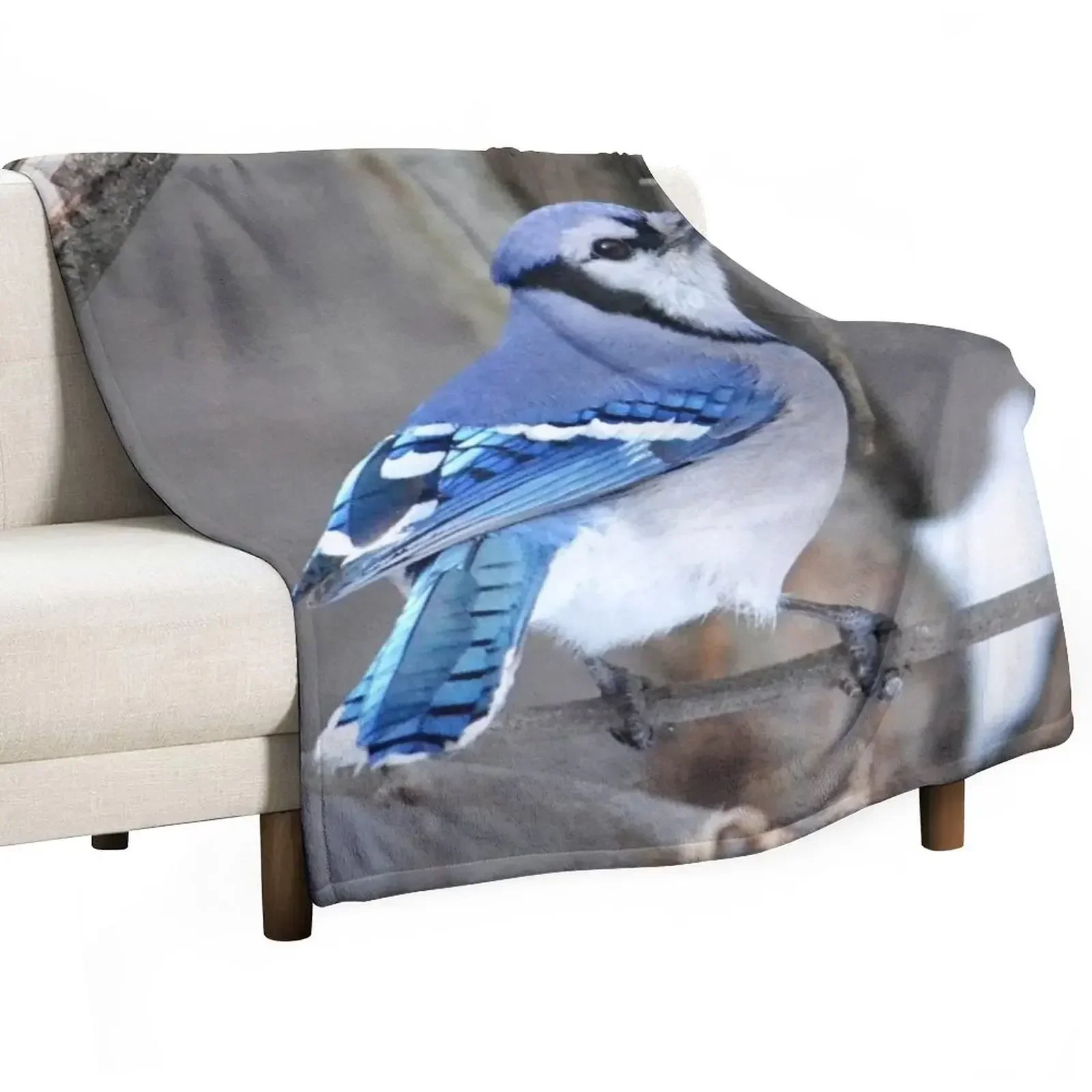 Blue Jay on a Branch Throw Blanket Decorative Sofa Hair Blankets