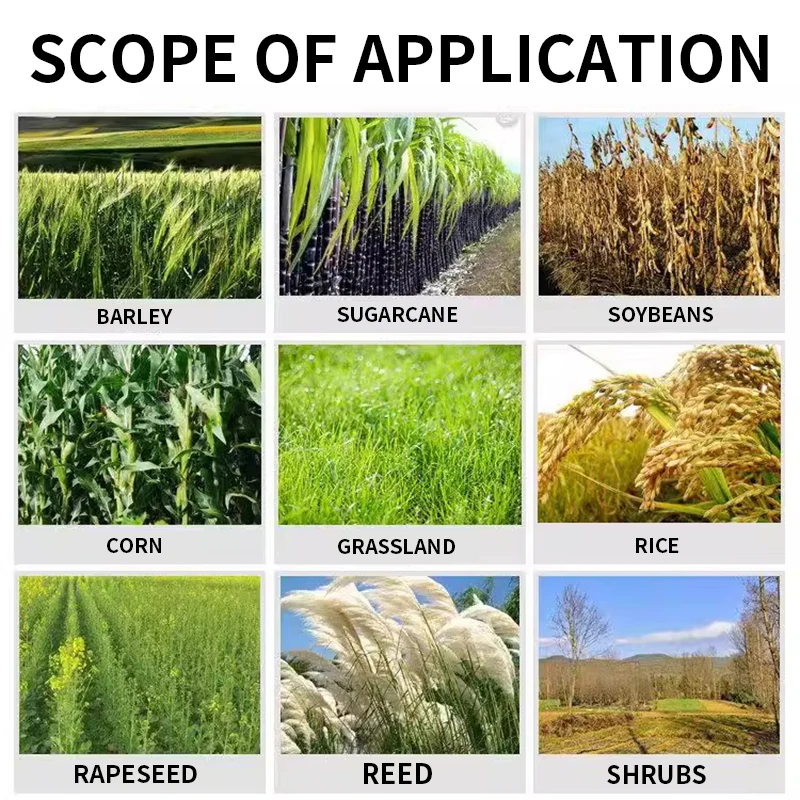

Толкающая косилка Многофункциональная толкатель с топливным питанием Мощная двухтактная/четырехтактная транцевая прополочная машина Легкая модель