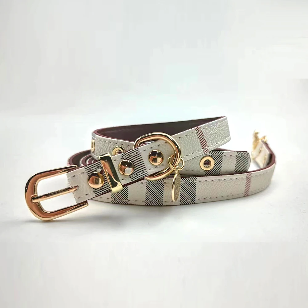 Pet Collar and Leash Set Fashion Leather Adjustable Stripe Collar for Dog Pet Supplies Collars for Medium  Dogs Gift for Puppy