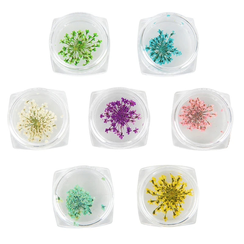 2 قطعة/صندوق لون عشوائي الطبيعية المجففة زهرة ليف الراتنج لوازم حشوات زهرة لمسمار سكرابوكينغ الديكور صنع المجوهرات