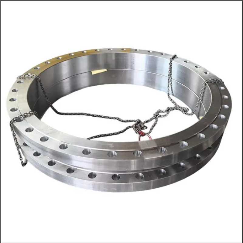 

Precision High Sterngth Forging Rings With High Density OEM Customization Stainless Steel Rubber Ring Seal Flanges