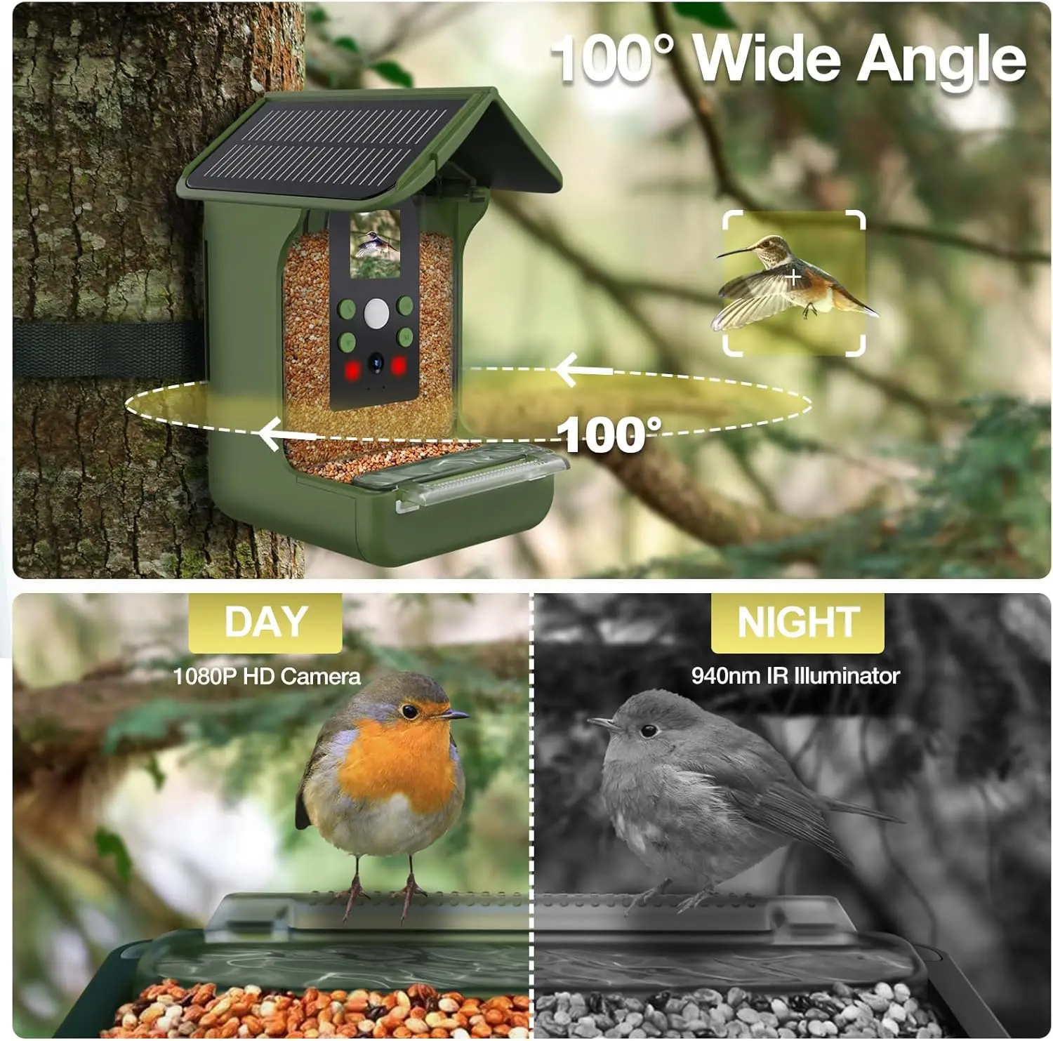 OEM ODM Smart Bird Feeder with Camera Auto Recording Solar Powered 1080p FHD Video WiFi & Microphone