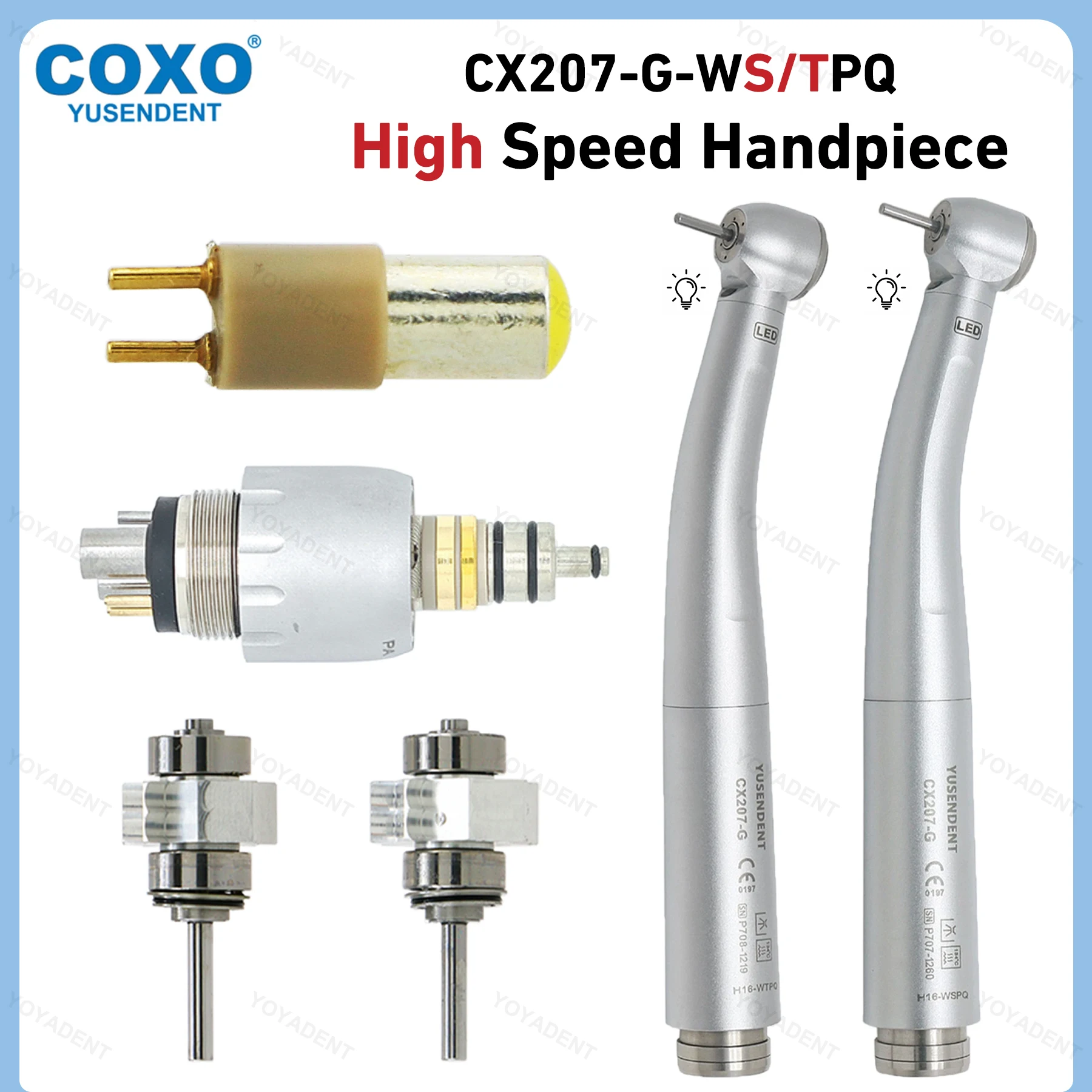 COXO Dental Fiber Optic High Speed Handstück Drehmoment/Standardkopf Luftturbinenkoppler 6-polig passend für W-H Dentallabor