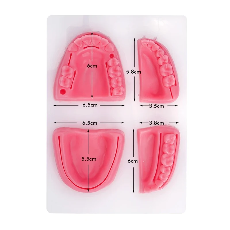 4Pcs/Set Dental Oral/Gingival Suture Module Silicone Suture Training Model Surgical Practice Suture Teaching Model Block