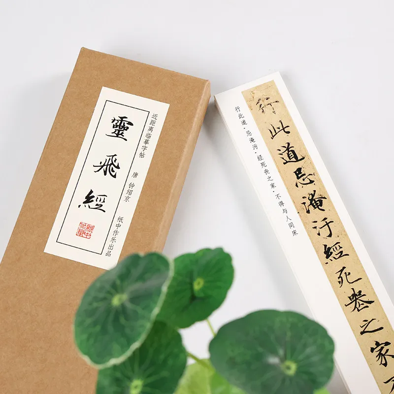 Picture 5: Learn Chinese Character Regular Script Brush Calligraphy Copybook Writing Close Range Chinese Character Tracing Practice Cards