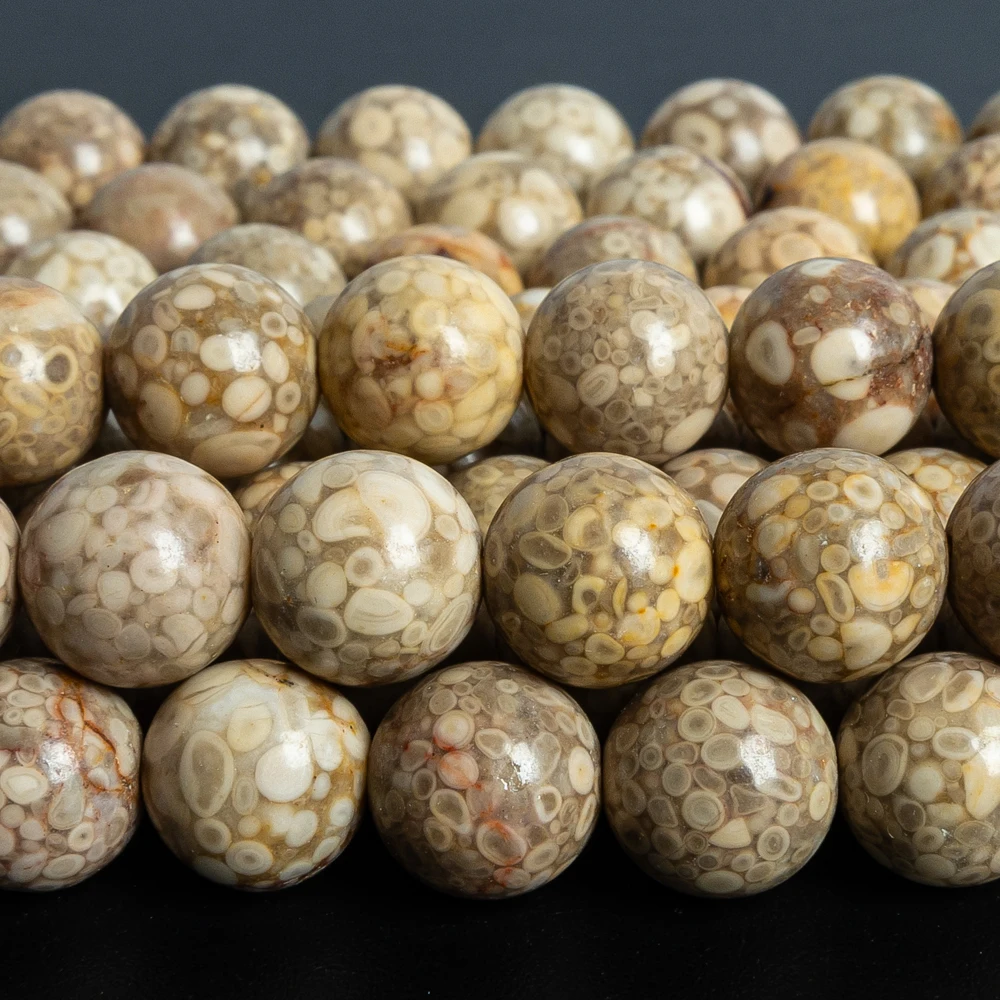Genuine 8/10mm Natural Fossil Coral Round Loose Beads for Jewelry Making Brown Coral Gemstone Beads Bulk Supply