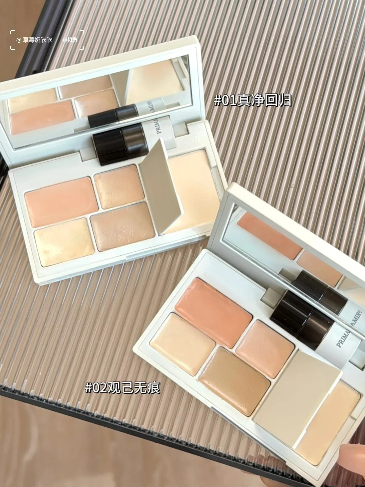 INSBAHA 5 Color Concealer Brightening Acne Mark Dark Eye Circles Tears Furrow Permanent Facial Concealer Setting Powder Plate