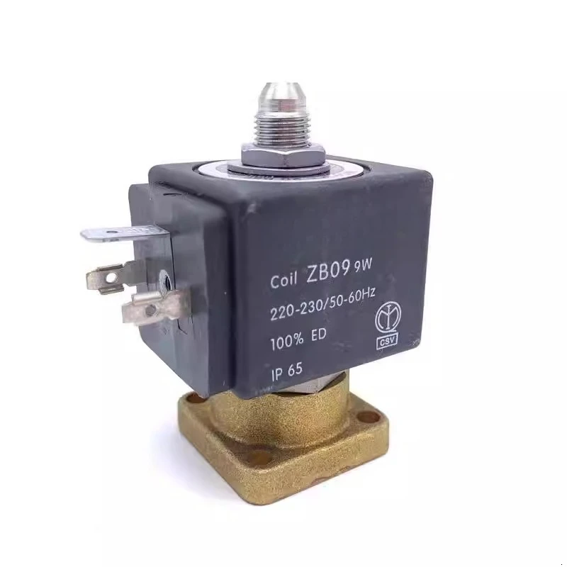 For Italian semi-automatic coffee machine brewing head Solenoid valve brewing head for Pegasuss Novas WEGAs