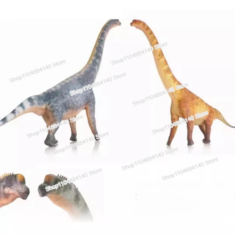 

For 1/35 Brachiosaurus Sauropod Dinosaur Model Adult Boy Collection Ornament
