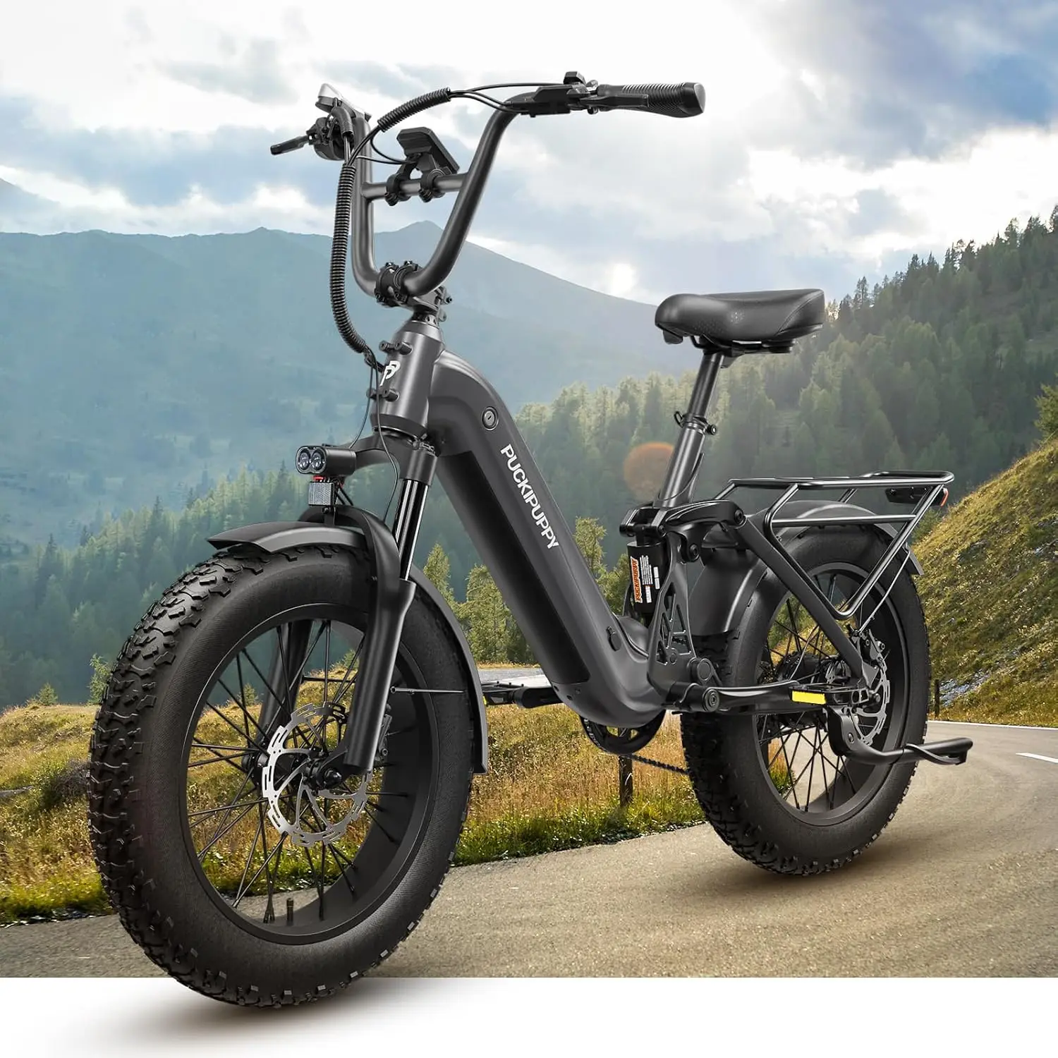 Electric Mountain Bike 20'' Fat Tire 7 Speed Adults 960W 48V 20Ah Full Suspension 28MPH 80 Miles LCD, Customized