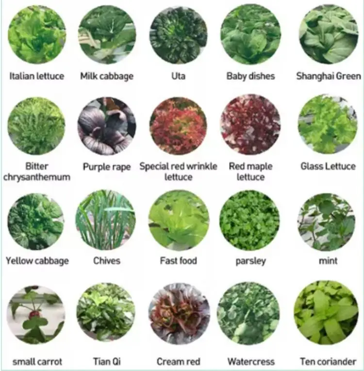 نظام مع أضواء LED للحديقة الذكية المحمولة، حديقة الأعشاب المائية الذكية الأوتوماتيكية، زراعة ذاتية السقي، زراعة داخلية #3