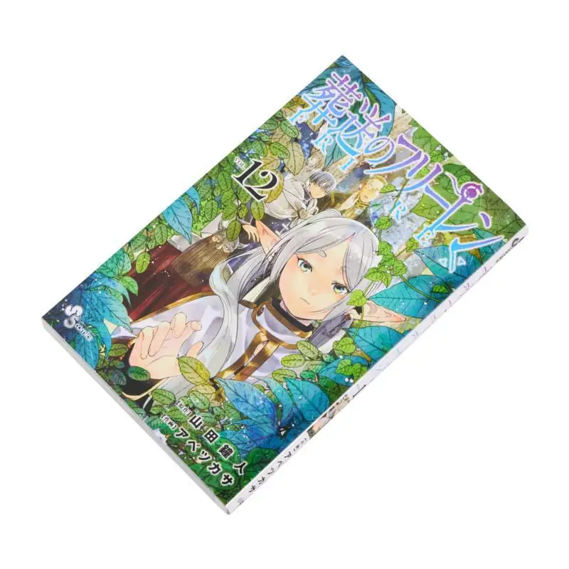 Fleeren 12 Kaneto Yamada Shogakukan 9784098530304 Book