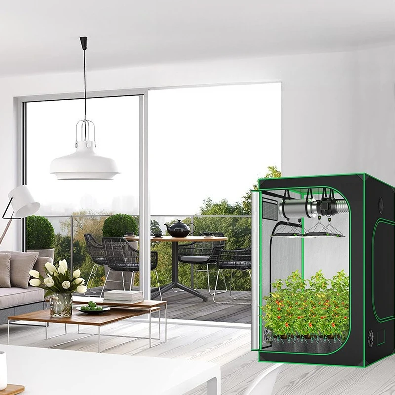 Standard Hydroponic Grow Tent with Blue Edges and Blue Poles, 600D Oxford Cloth Greenhouse Plant Growing Tent