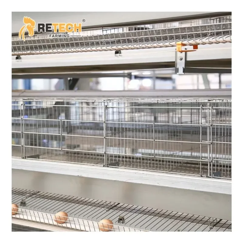 Full Automatic H Type 4 Tier 20000 Egg Layer Chicken Cage With Automatic Feeder System for Poultry Farm