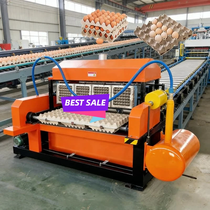 Paper Egg Tray Production System Pulp Molding Machine Egg Carton Making Equipment Waste Paper Recycling Industrial Use Custom